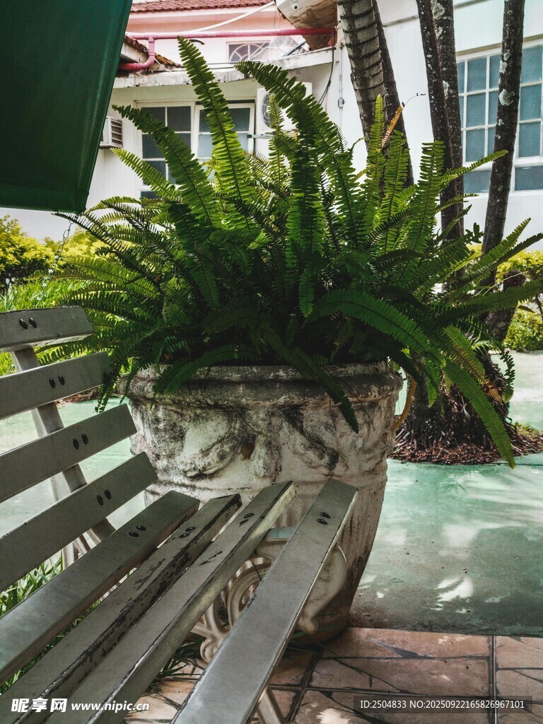 户外绿植装点的别致花盆
