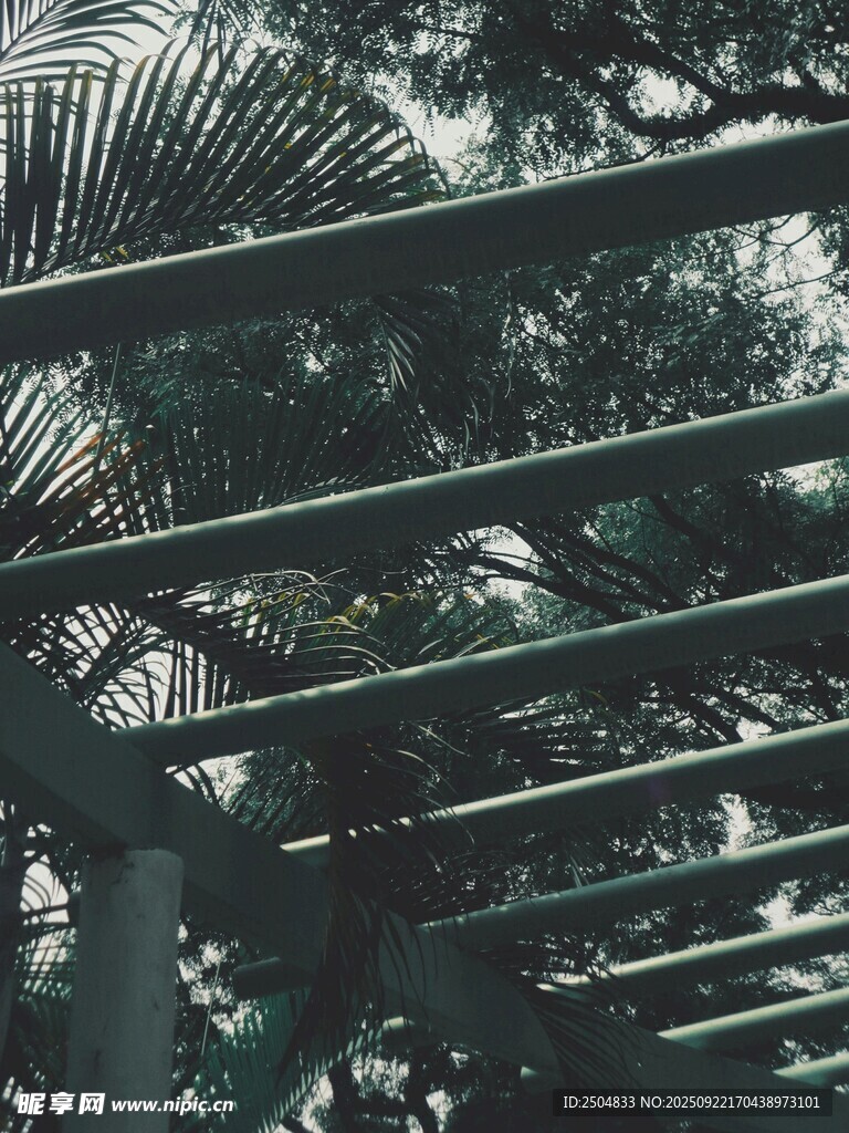 金属栏杆后的翠绿植物