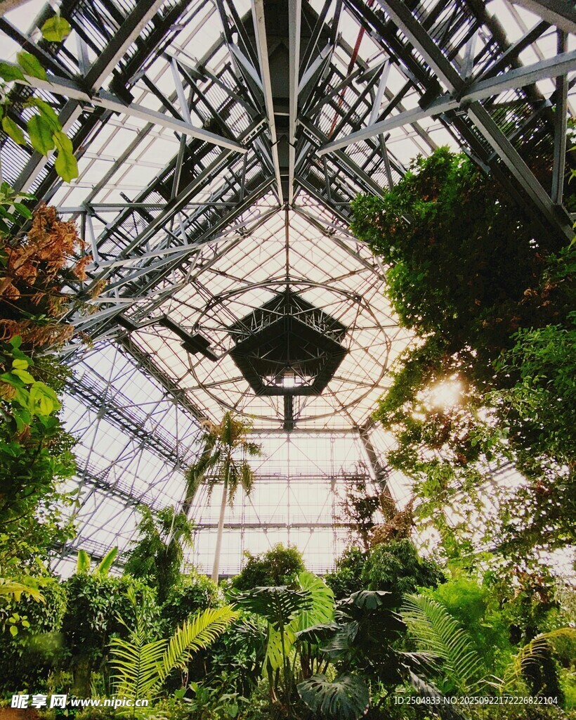 温室内部繁茂绿植景观