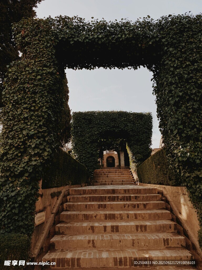 绿植环绕的阶梯景观