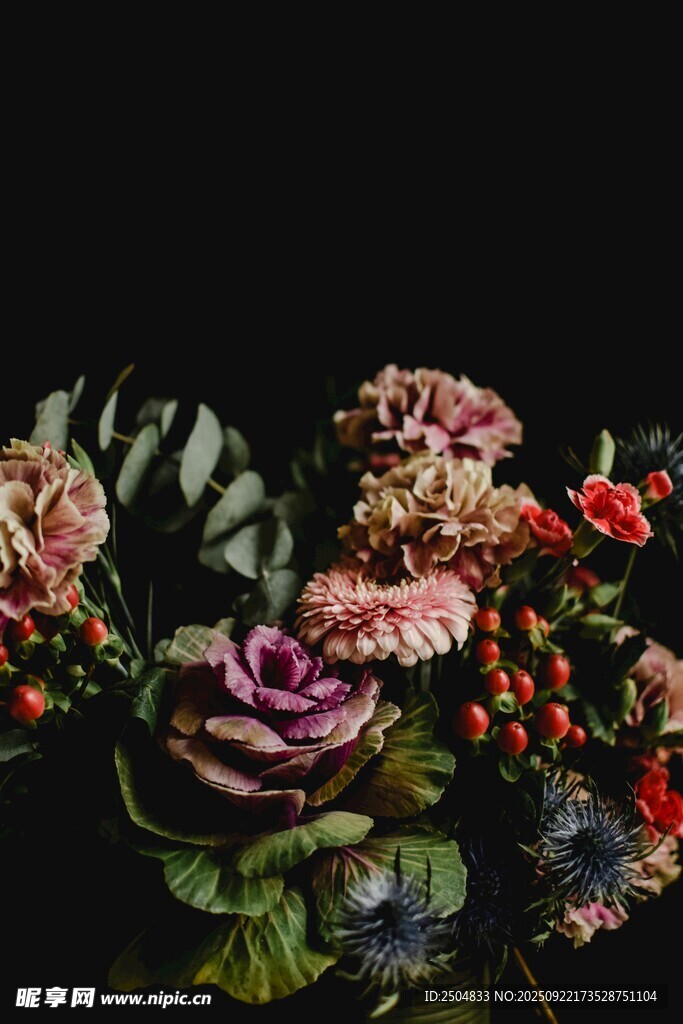 多彩花卉组合 视觉盛宴