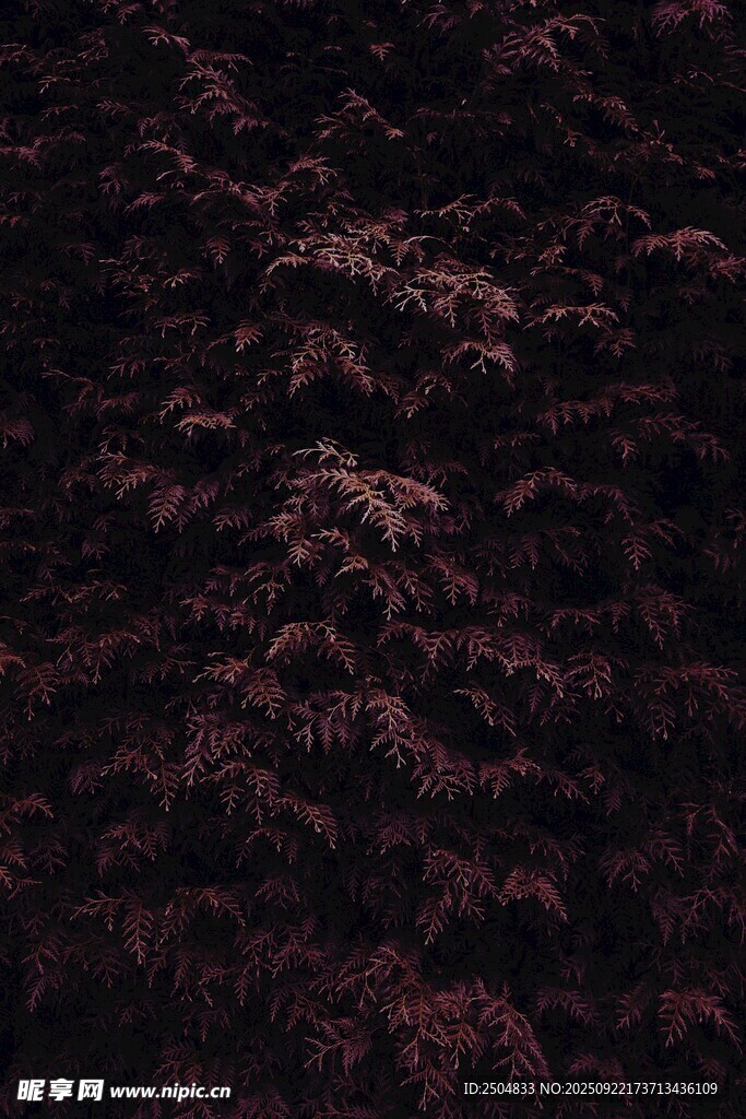 深紫色纹理背景图案