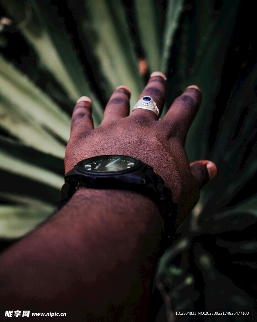 戴戒指手环的手与绿植