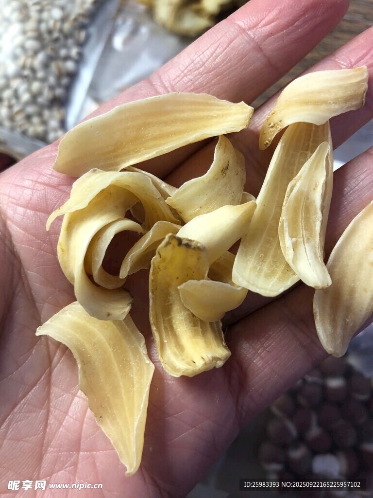 百合片