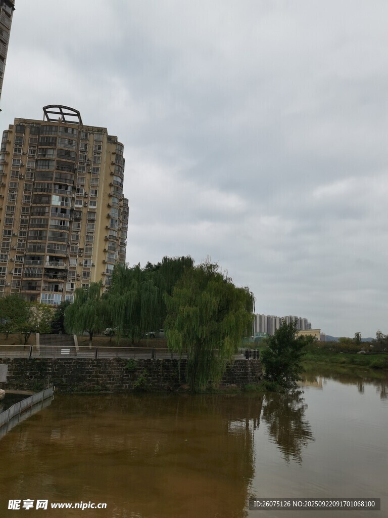 河边高楼与绿树景观