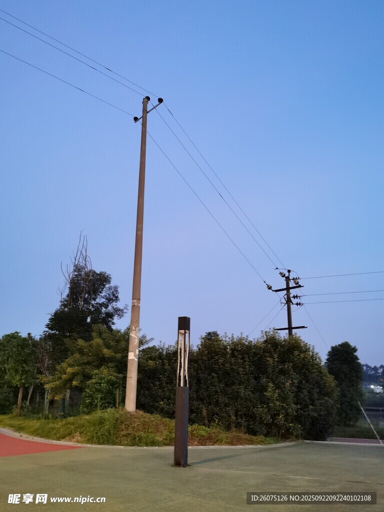户外电线杆与绿植景观