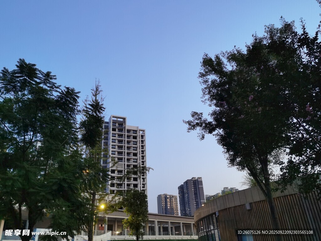 城市中林立的高楼与绿树