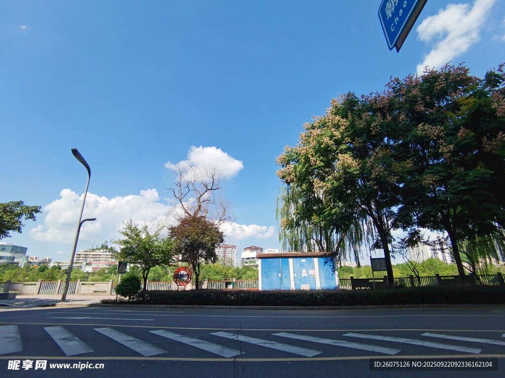 户外道路旁的绿树与蓝天