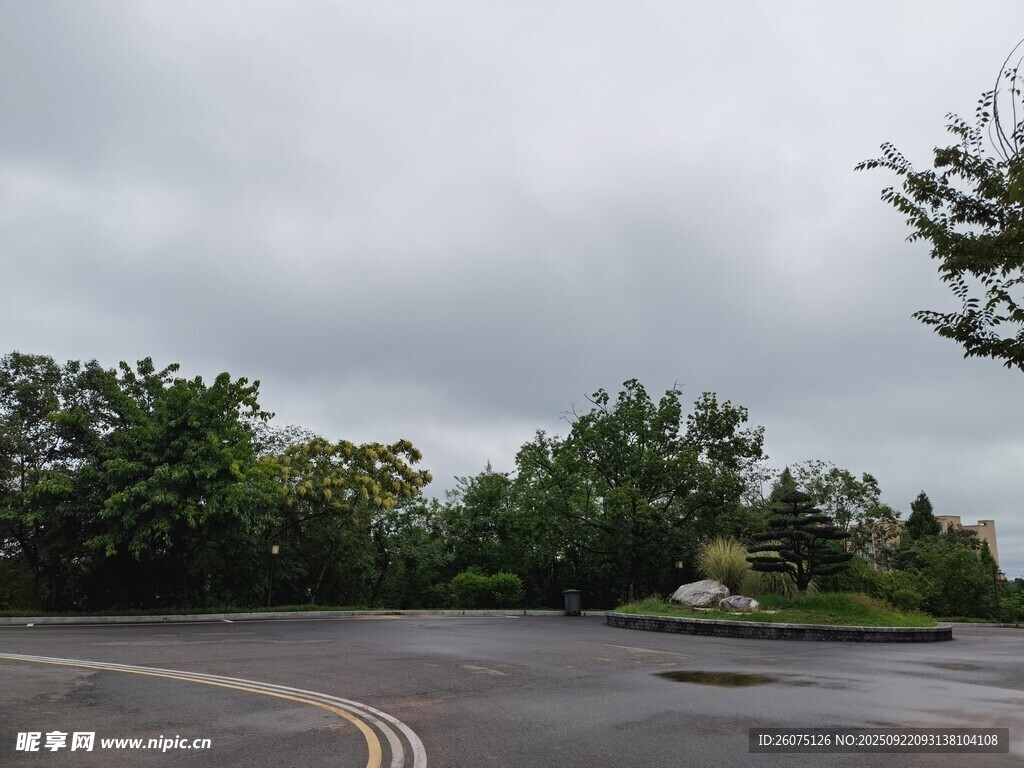 雨后空旷停车场及周边绿树