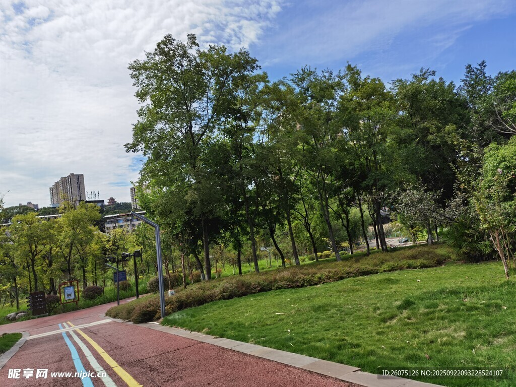 城市公园中的多彩步道景观