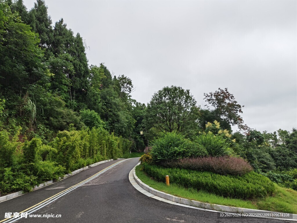 蜿蜒公路旁的葱郁景致