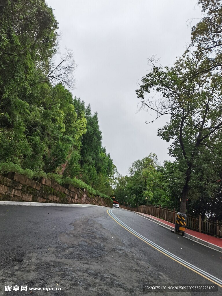 蜿蜒林间公路绿意盎然