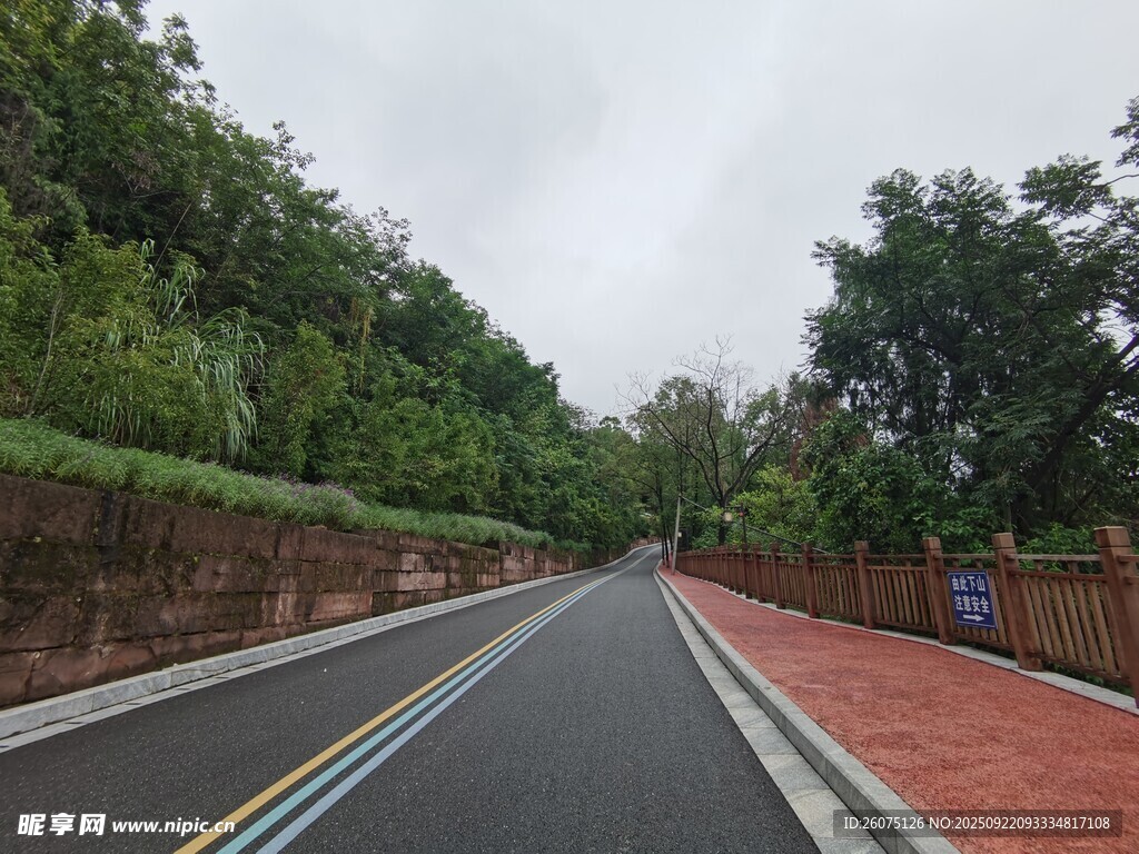 宽阔林荫道路风景