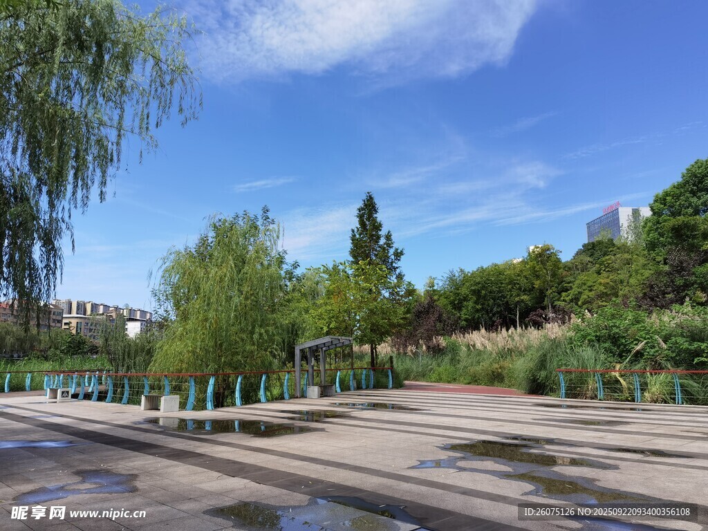 城市公园的开阔休闲空间