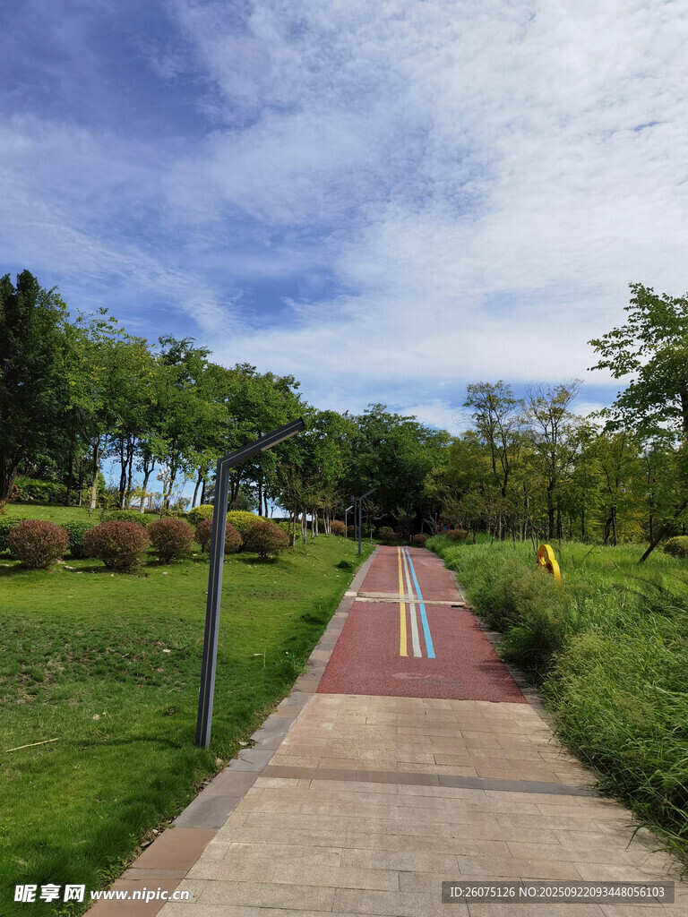 郊外彩色步道风景