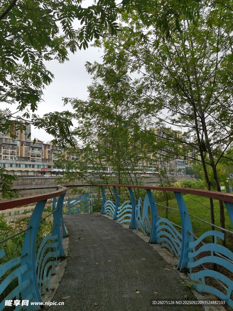 河畔蓝桥绿树风景图