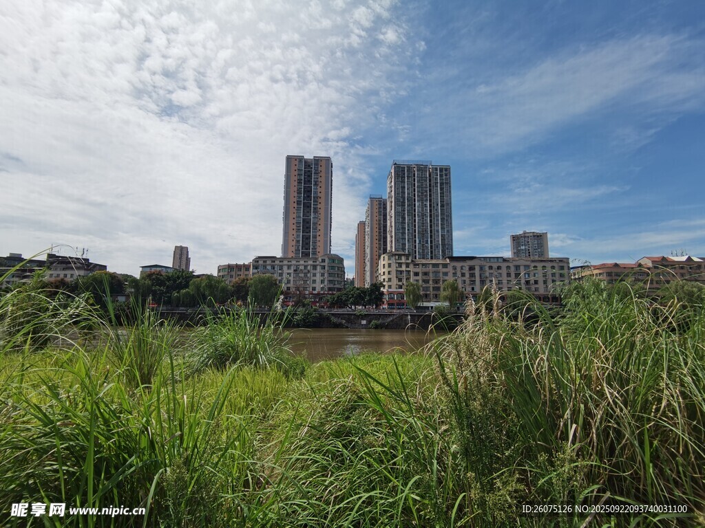 城市高楼与草地景观