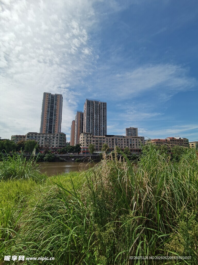 城市草地与高楼景观