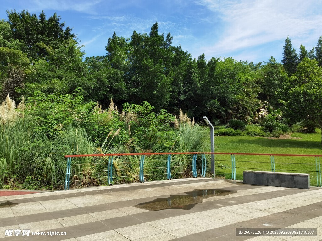 户外绿意盎然的休闲场景