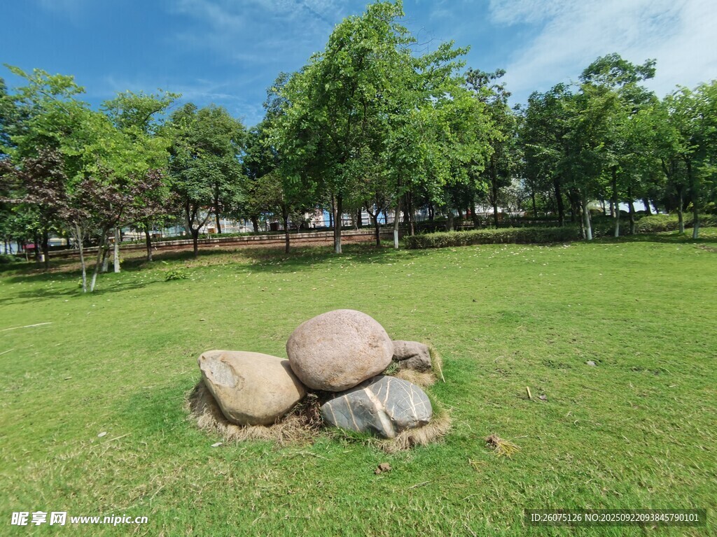 草地上的巨石景观