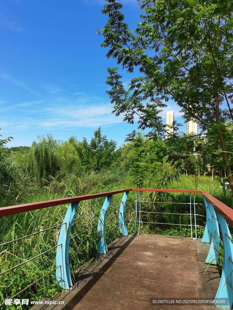 蓝栏杆小径通向绿意世界