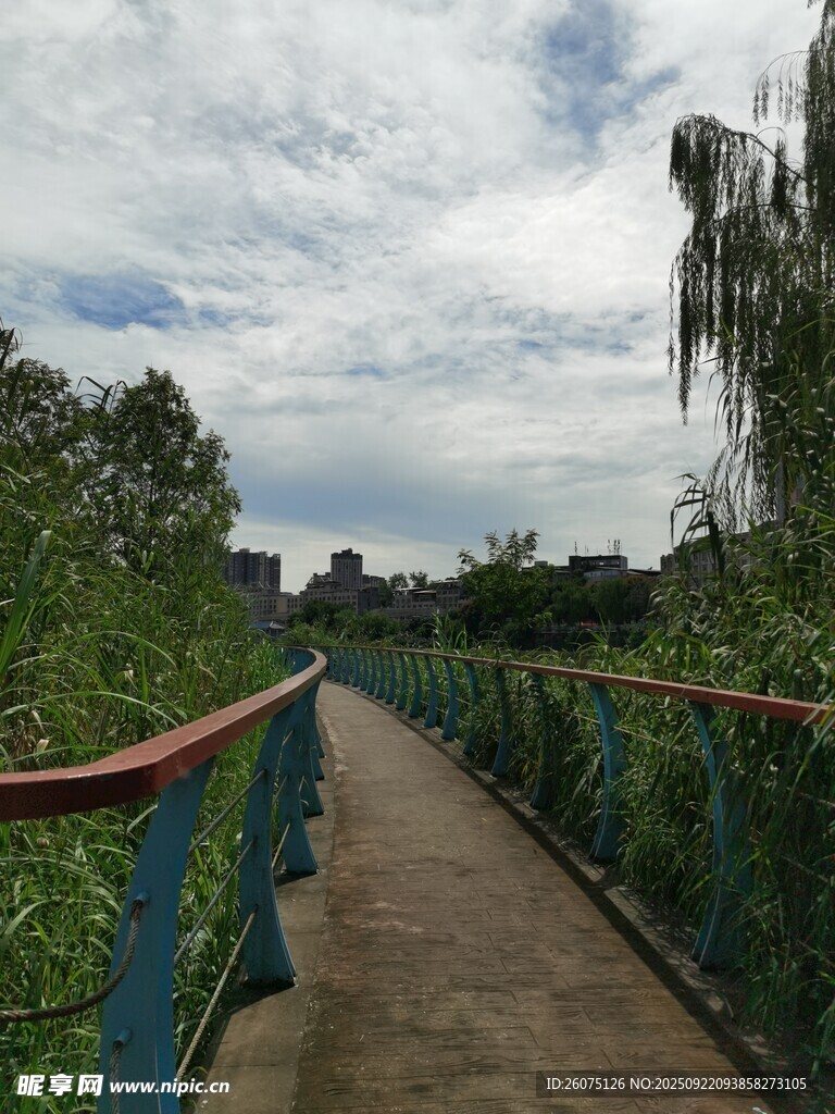 河畔绿荫中的漫步小径