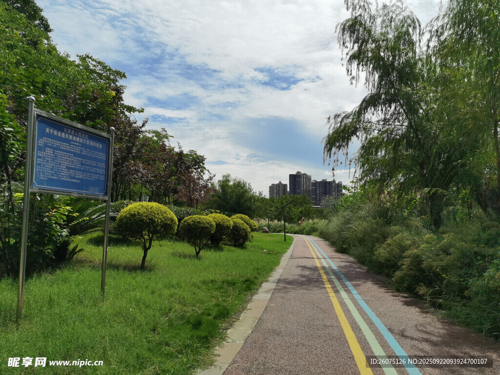 城市中的林荫彩色步道