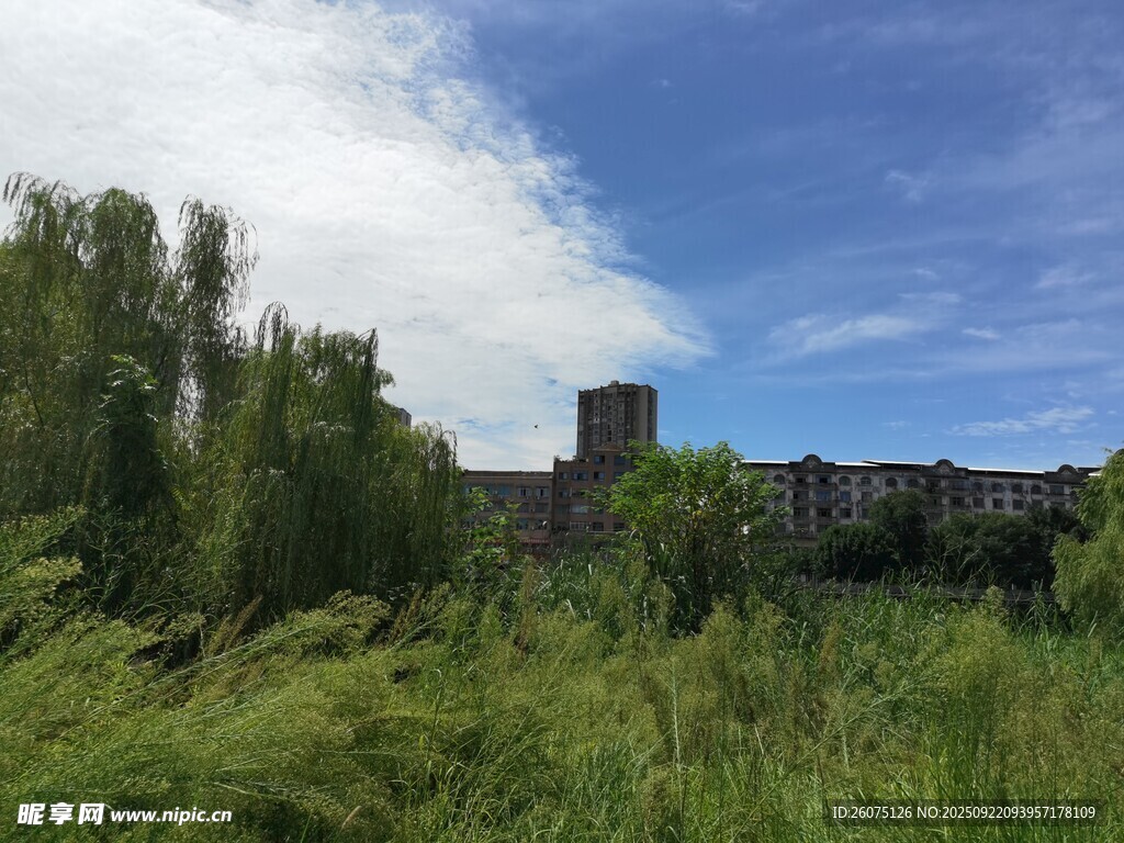 城郊荒废之地的自然景象