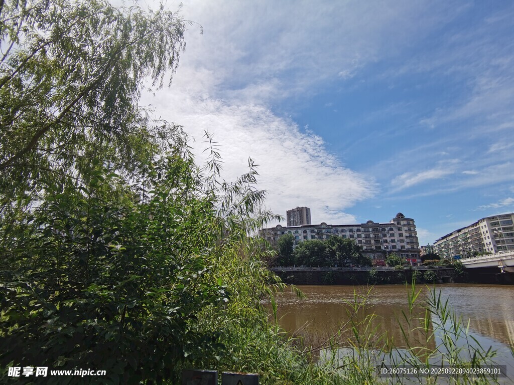河畔风景绿树与建筑相映