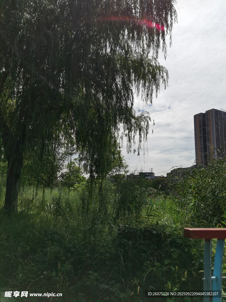 城郊绿植景观