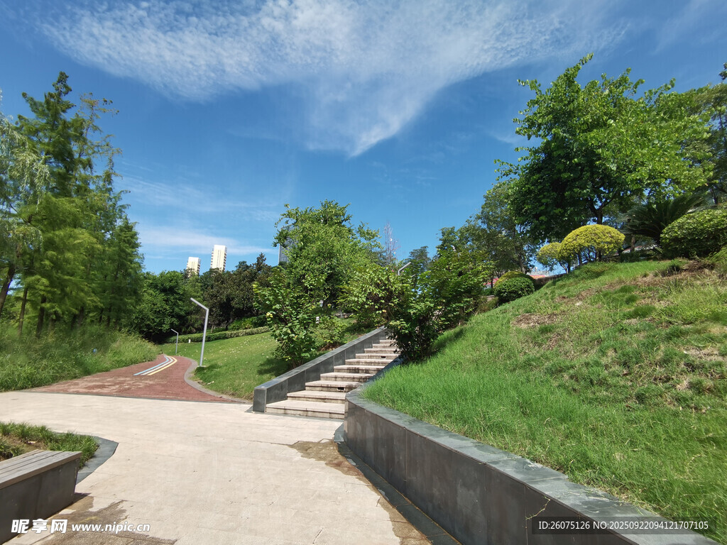 城市中的静谧户外步道