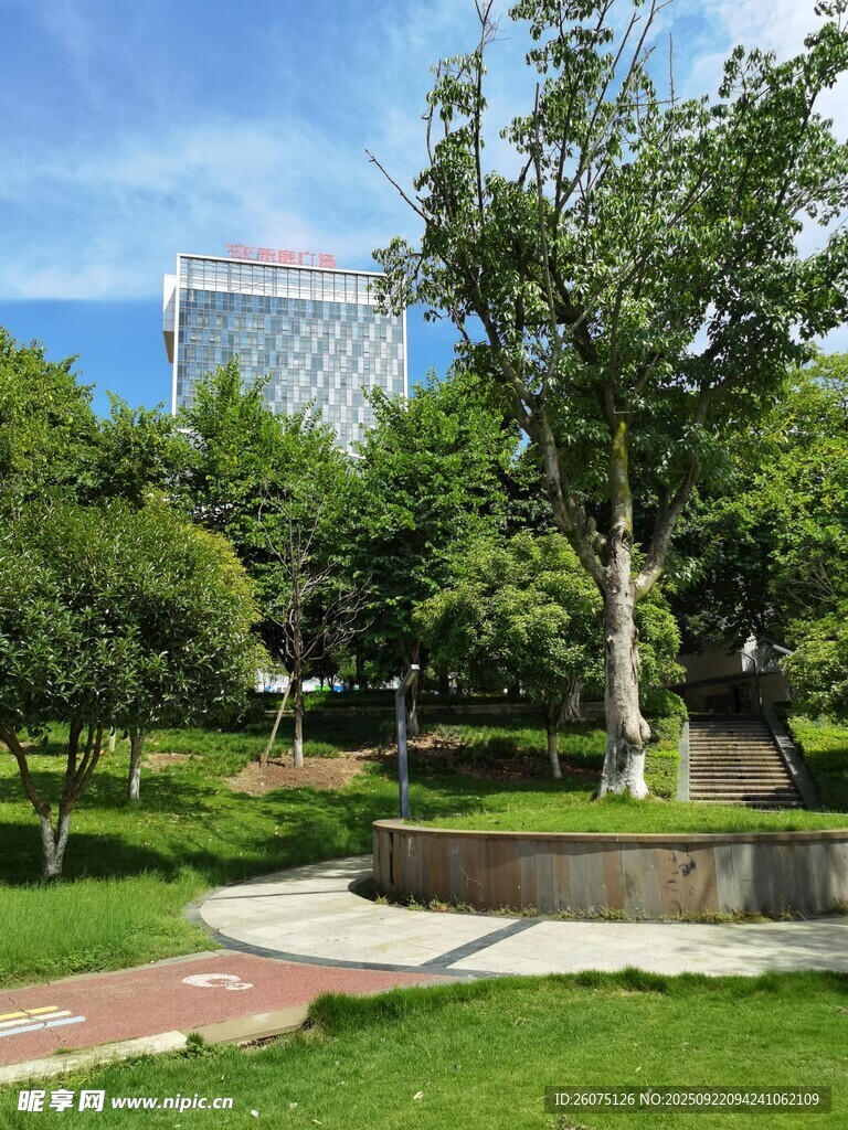 城市中的静谧公园景致