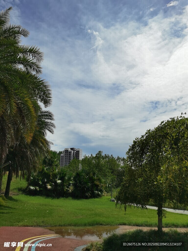 公园绿意景观