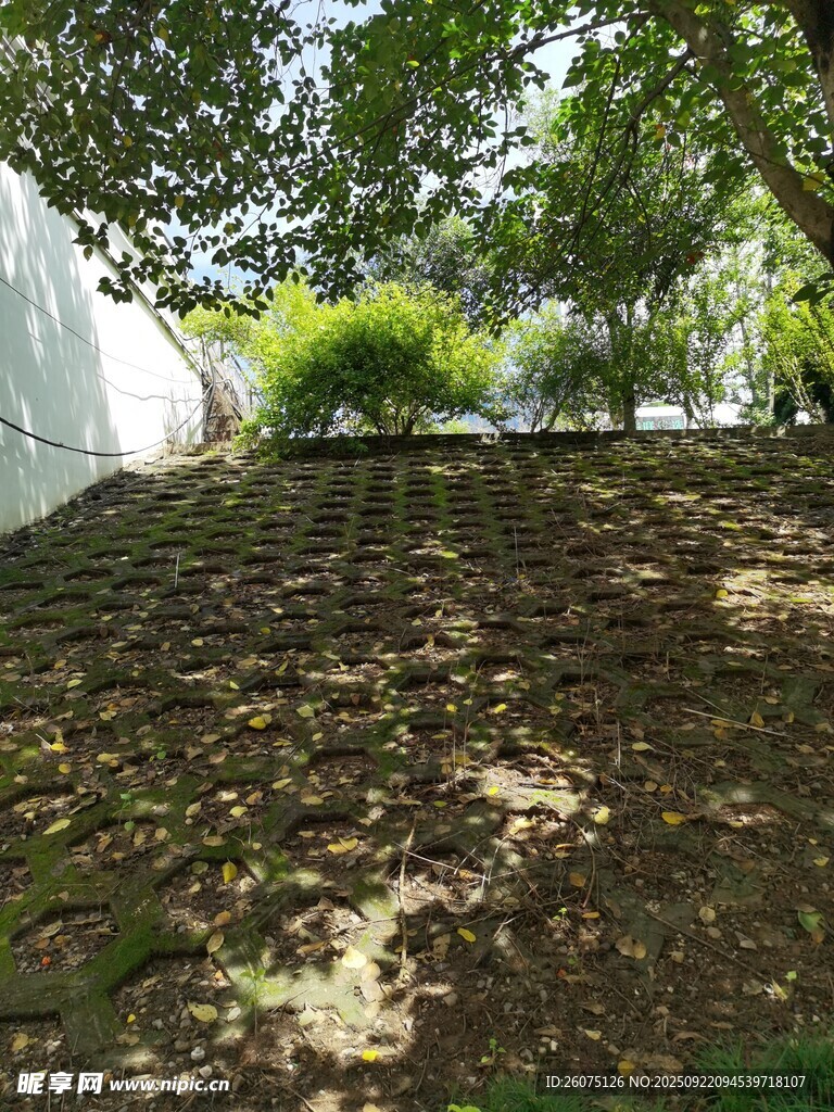 庭院中阳光洒落的泥土地