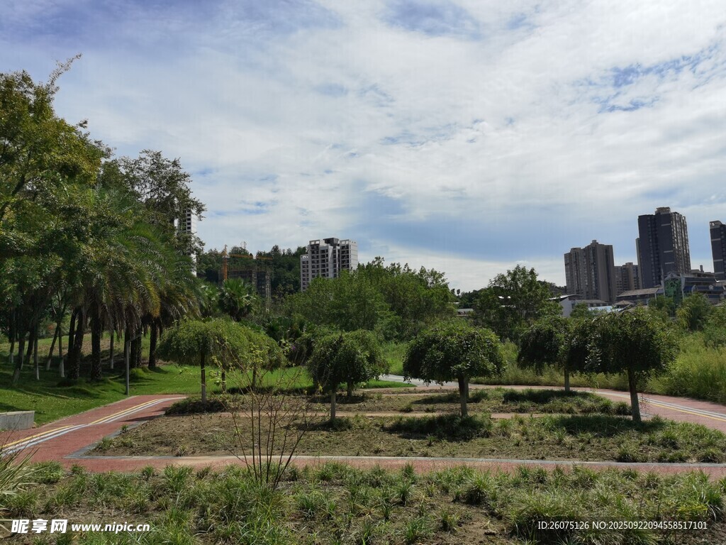 城市中的静谧公园景观