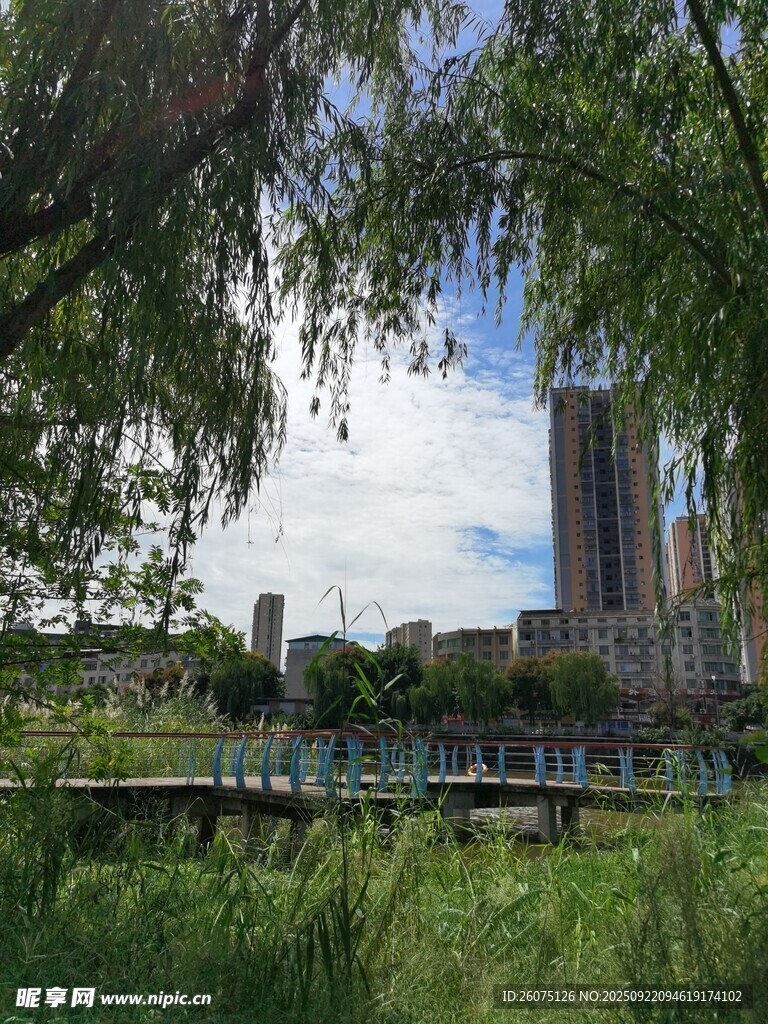 城市河畔绿意风景