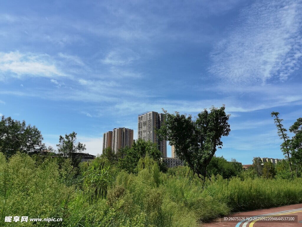 城郊公路旁的绿植与建筑