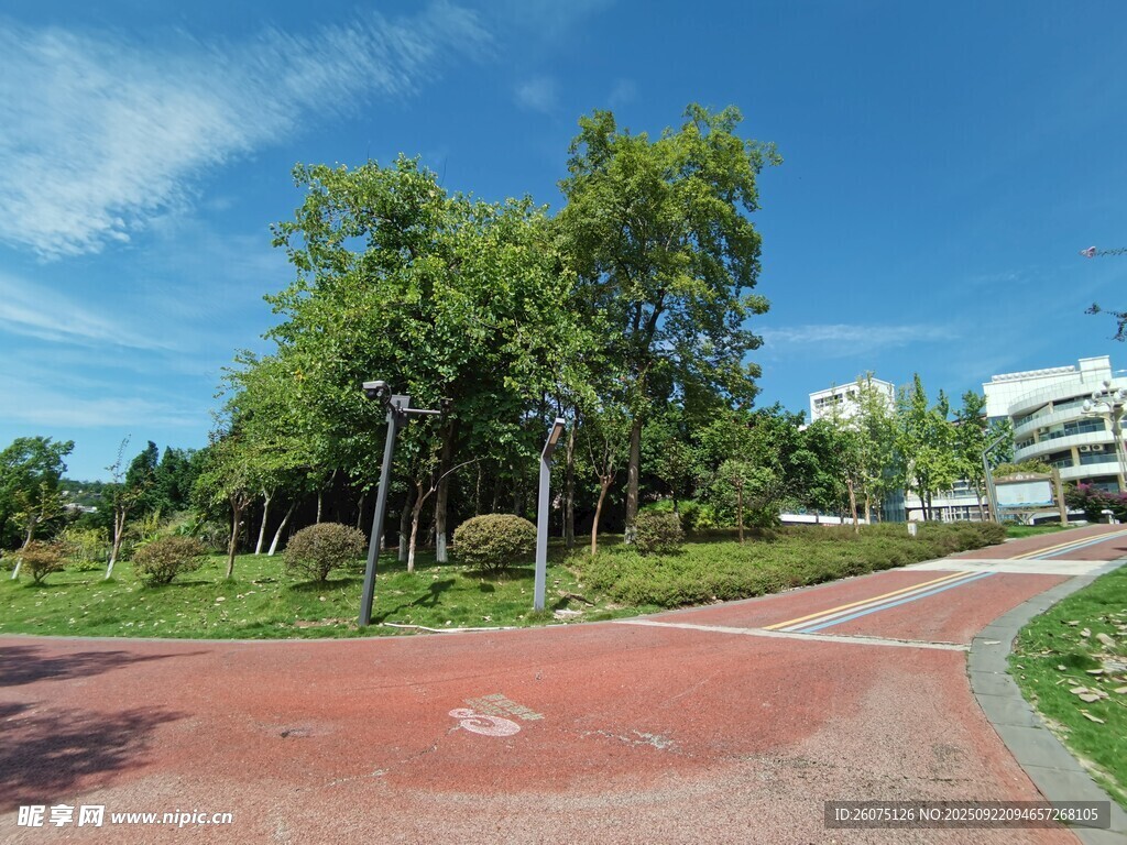 公园红色步道与葱郁绿树