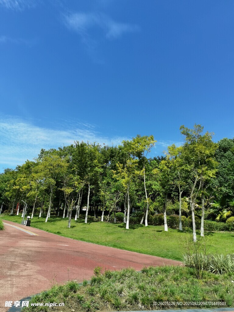 林间红径绿意盎然的景致