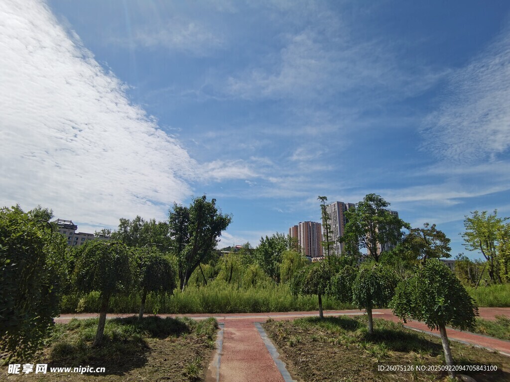 城市中的静谧园林景观
