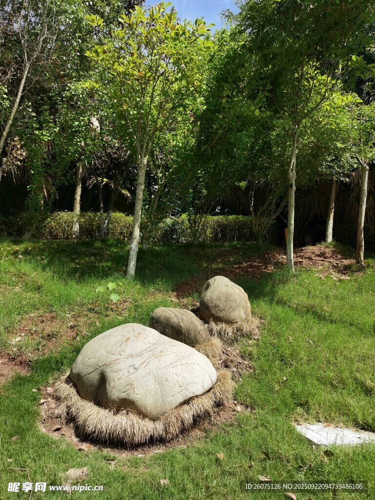 园林中造型独特的景观石
