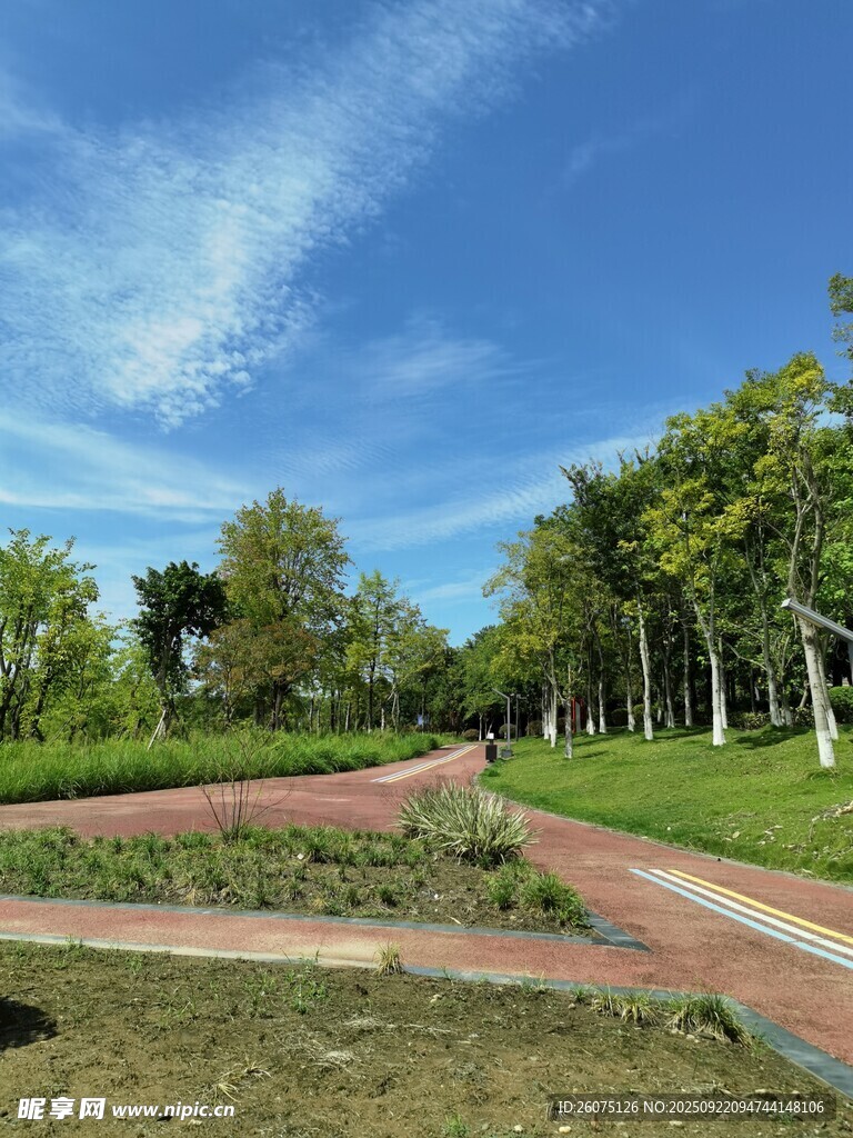 美丽户外公园景观