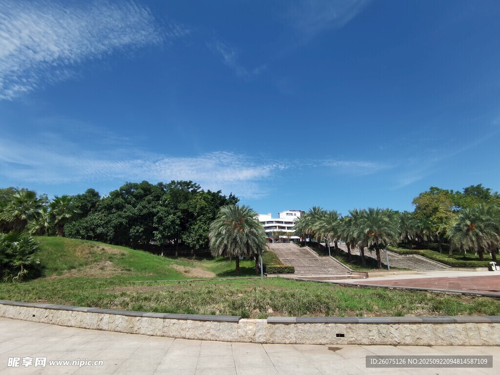 户外开阔绿地风景