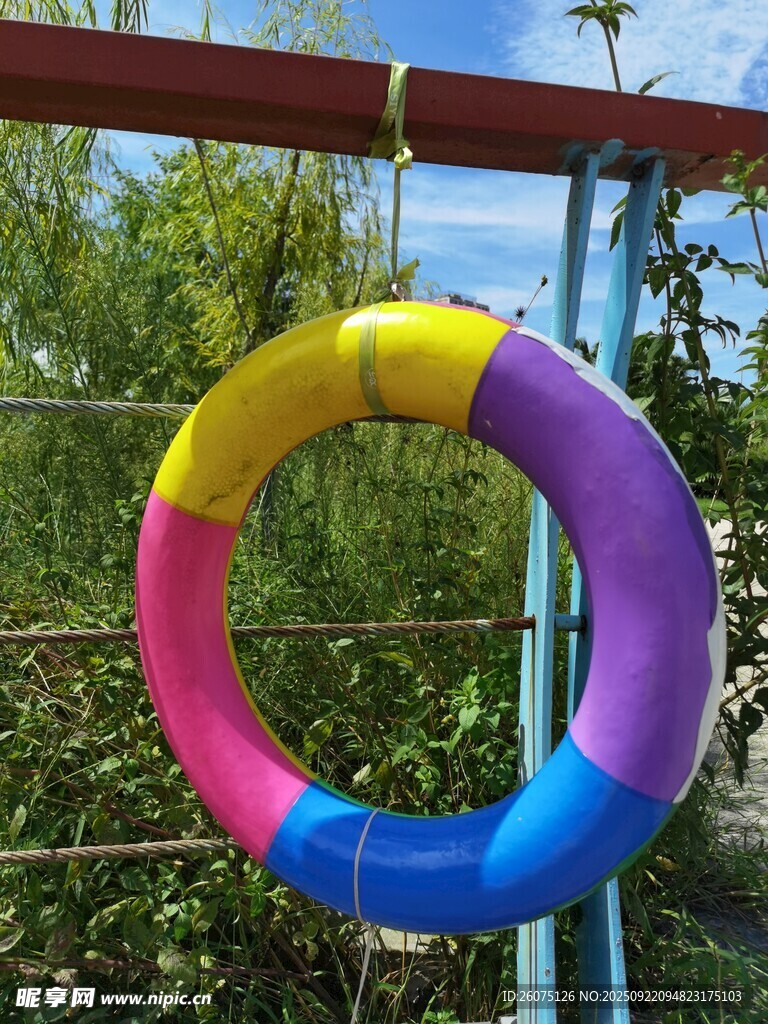 多彩游泳圈悬挂于户外