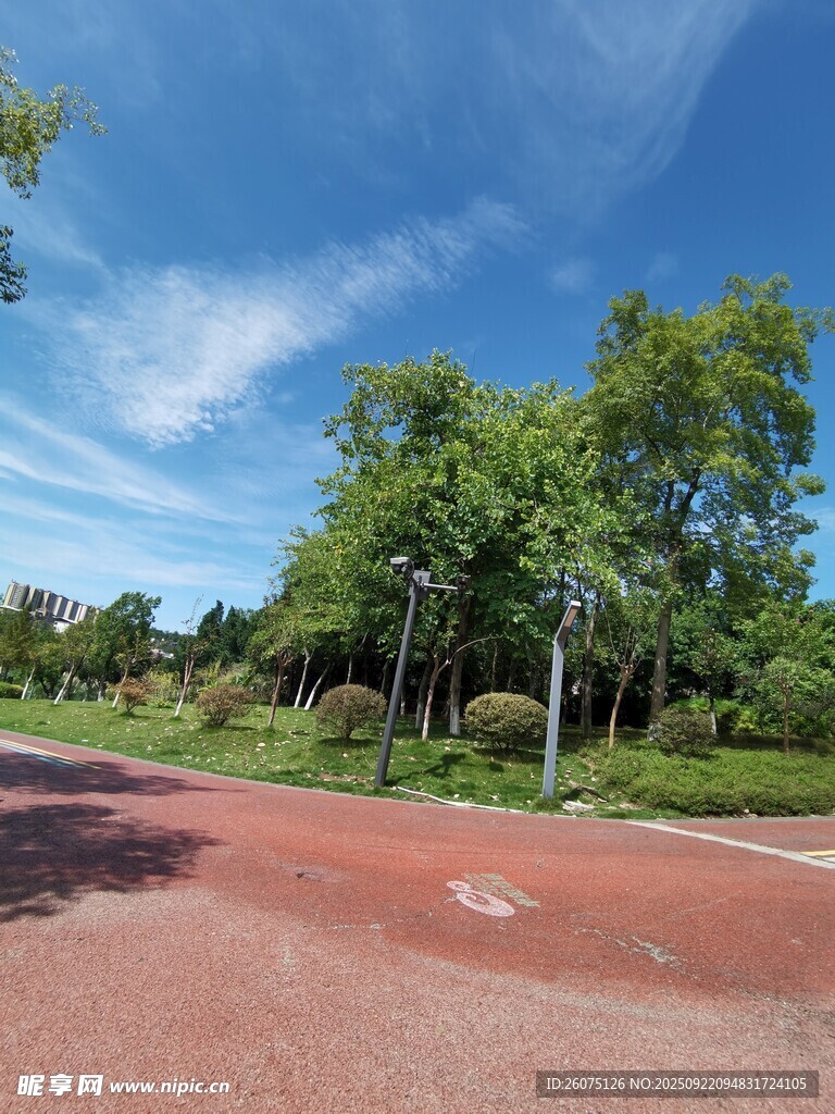 户外红色步道与绿树蓝天