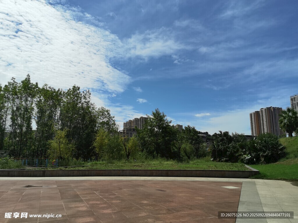 城市中的开阔绿地景观