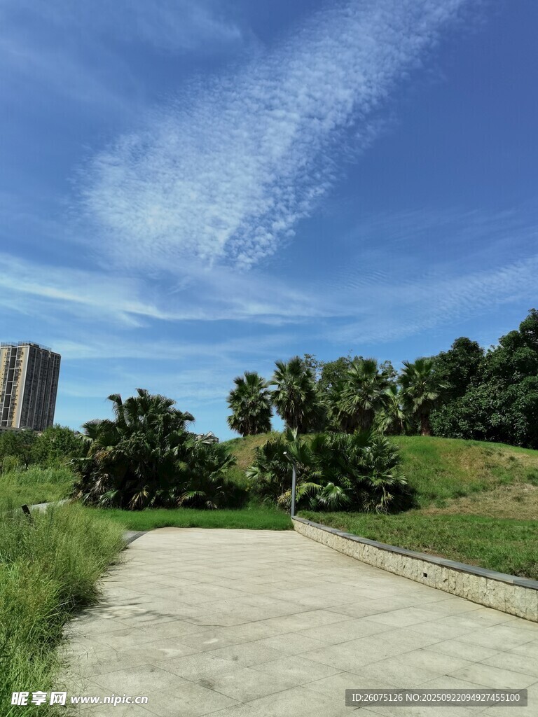 城郊小路旁的绿植与蓝天