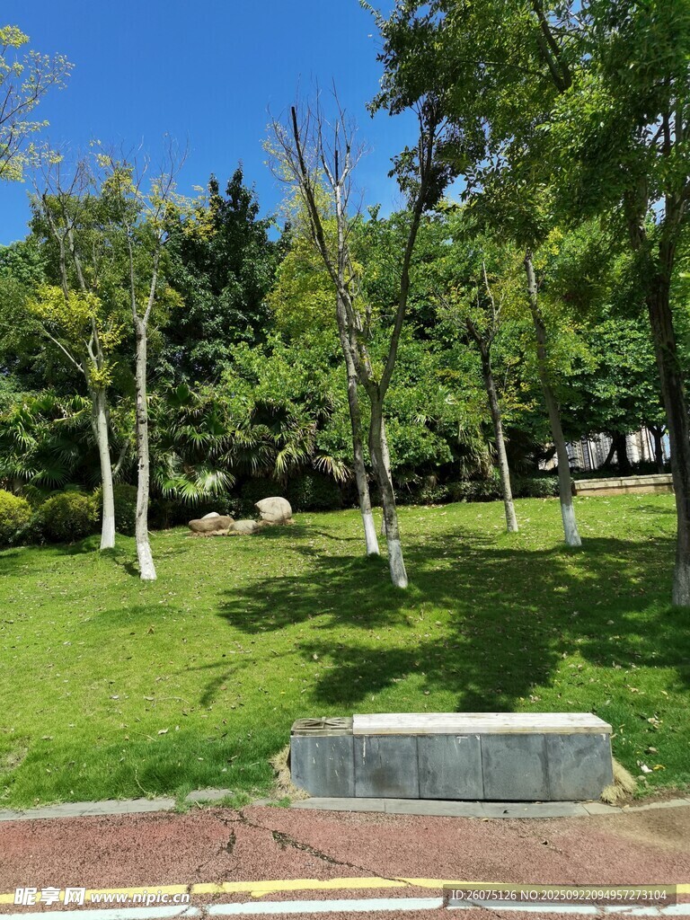 公园绿意盎然的休闲场景