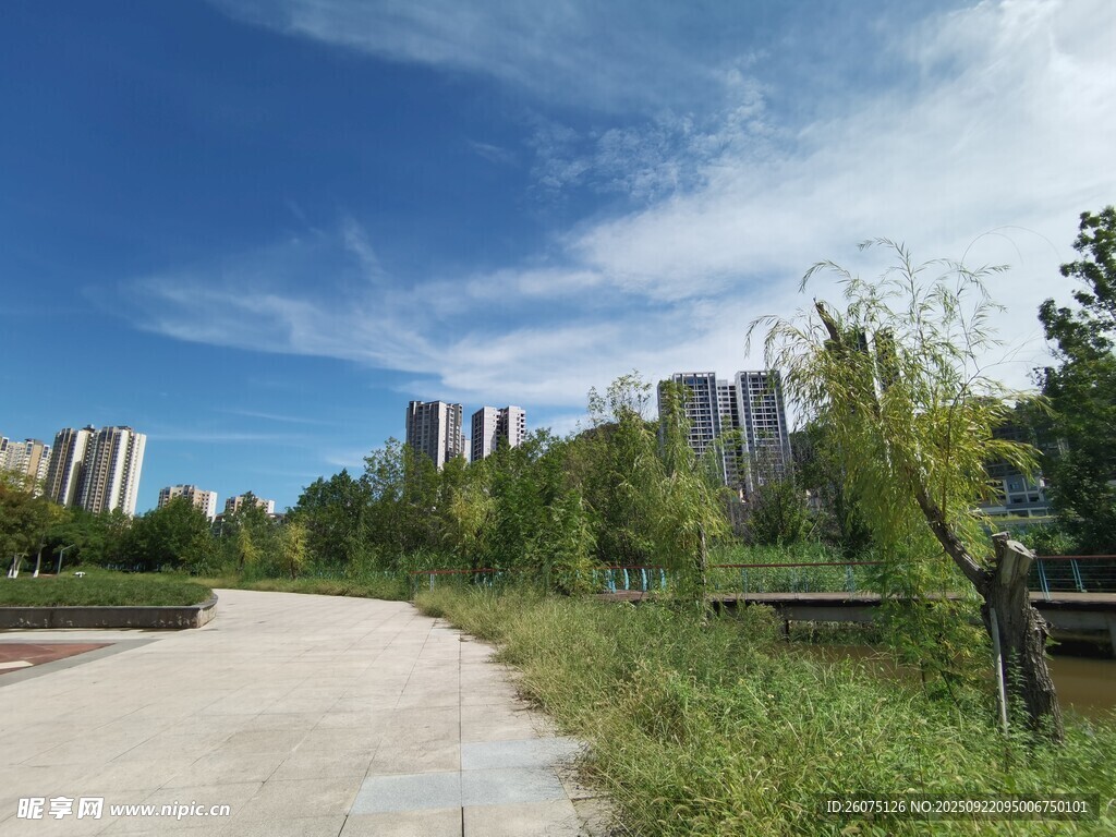 城郊小路旁的绿植与高楼