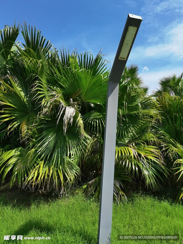 户外绿植旁的金属灯柱